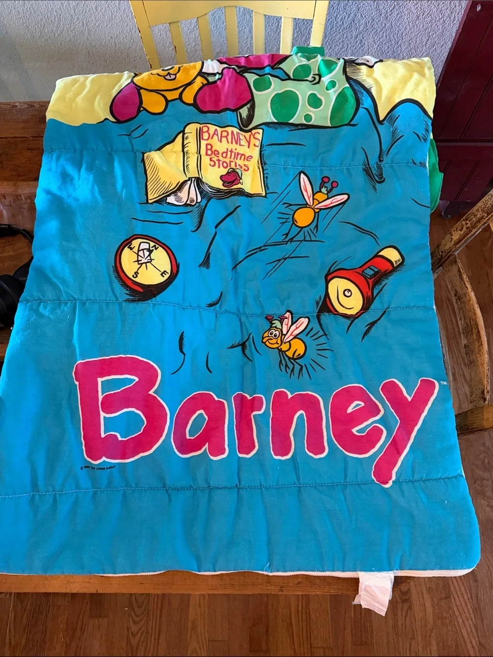 Barneys New York colorful barney